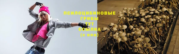 прущий лед Алексеевка