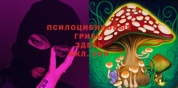 PSILOCYBIN Алексин