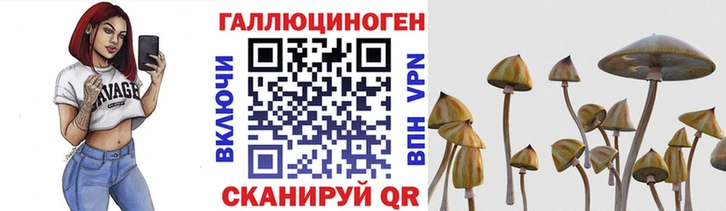 даркнет сайт Цимлянск Галлюциногенные грибы мухоморы